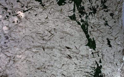 Au creux de toi – Publication de fin de résidence