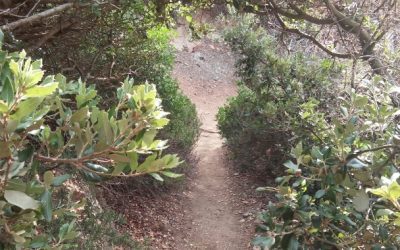 Je marche depuis un moment déjà