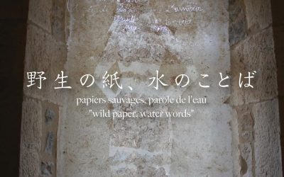 Papier sauvage, parole de l’eau