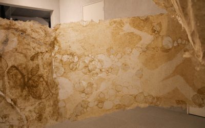 Invitation dans l’émission « L’œuvre au clair »