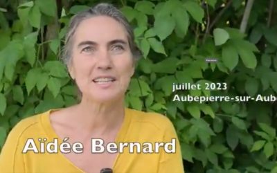 Entretien pendant l’exposition Conversation, des racines au ciel